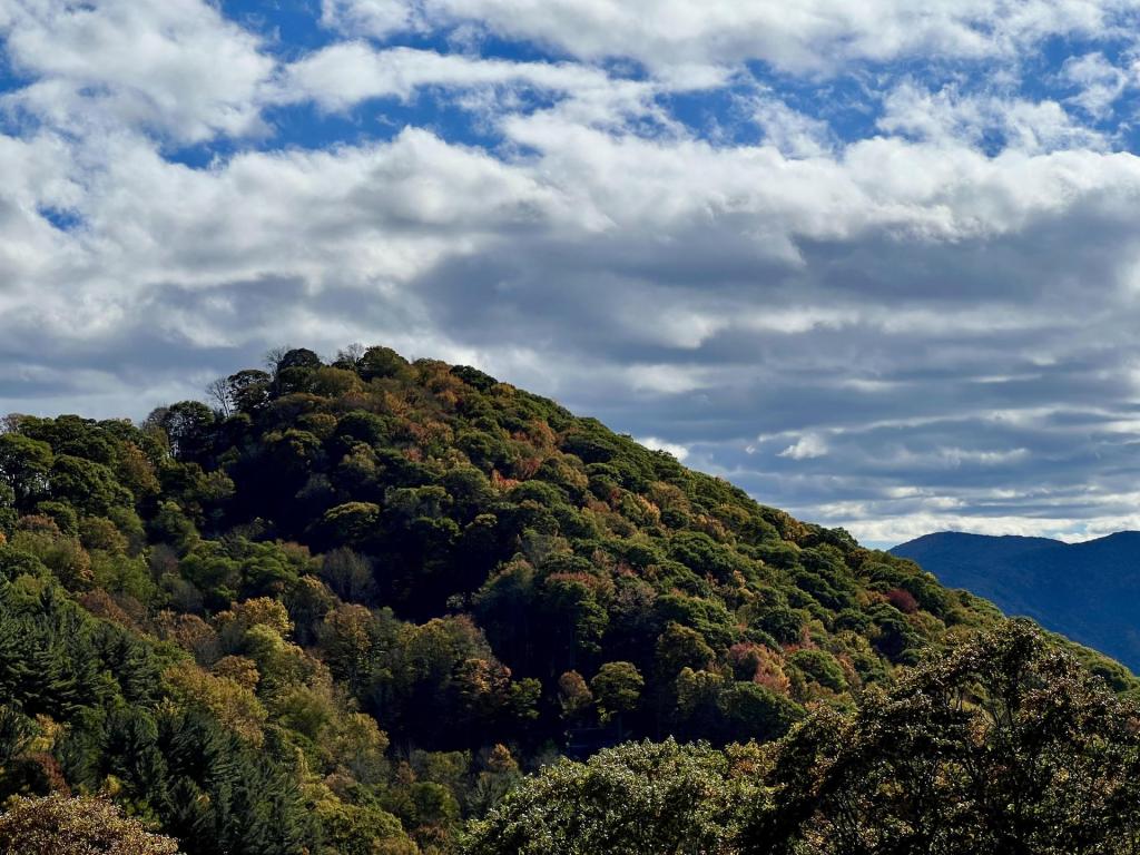 🤗 ‘Good News Friday’ is here, NC