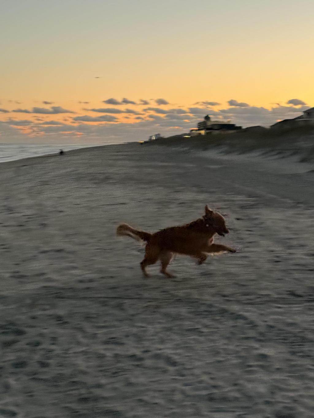 👻 NC’s most haunted city is…