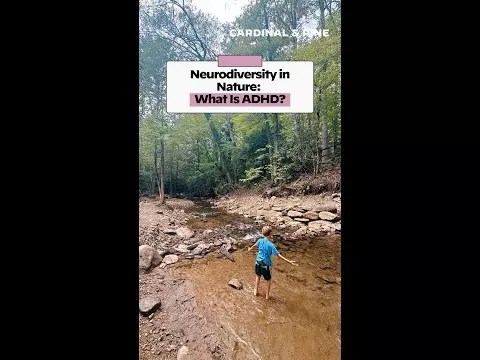 Video: What is attention deficit hyperactivity disorder, or ADHD?