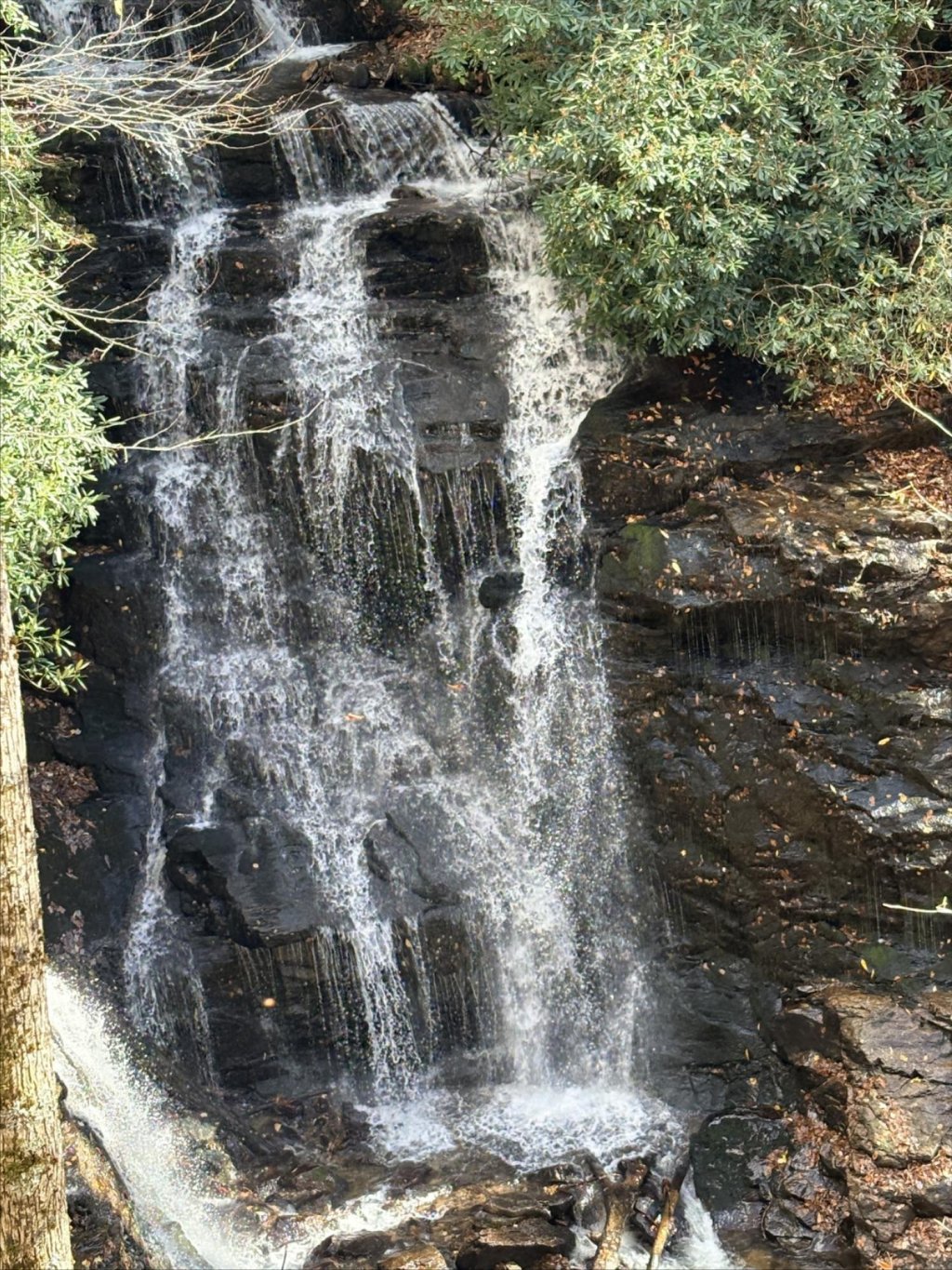 ‘A hornet’s nest’: NC’s Border Patrol resistance