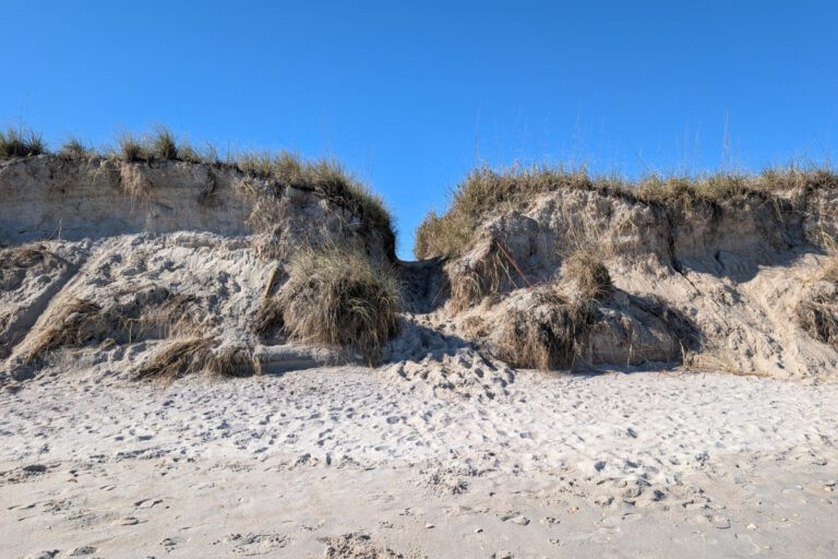 Carolina Beach nourishment project