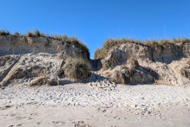 Carolina Beach nourishment project