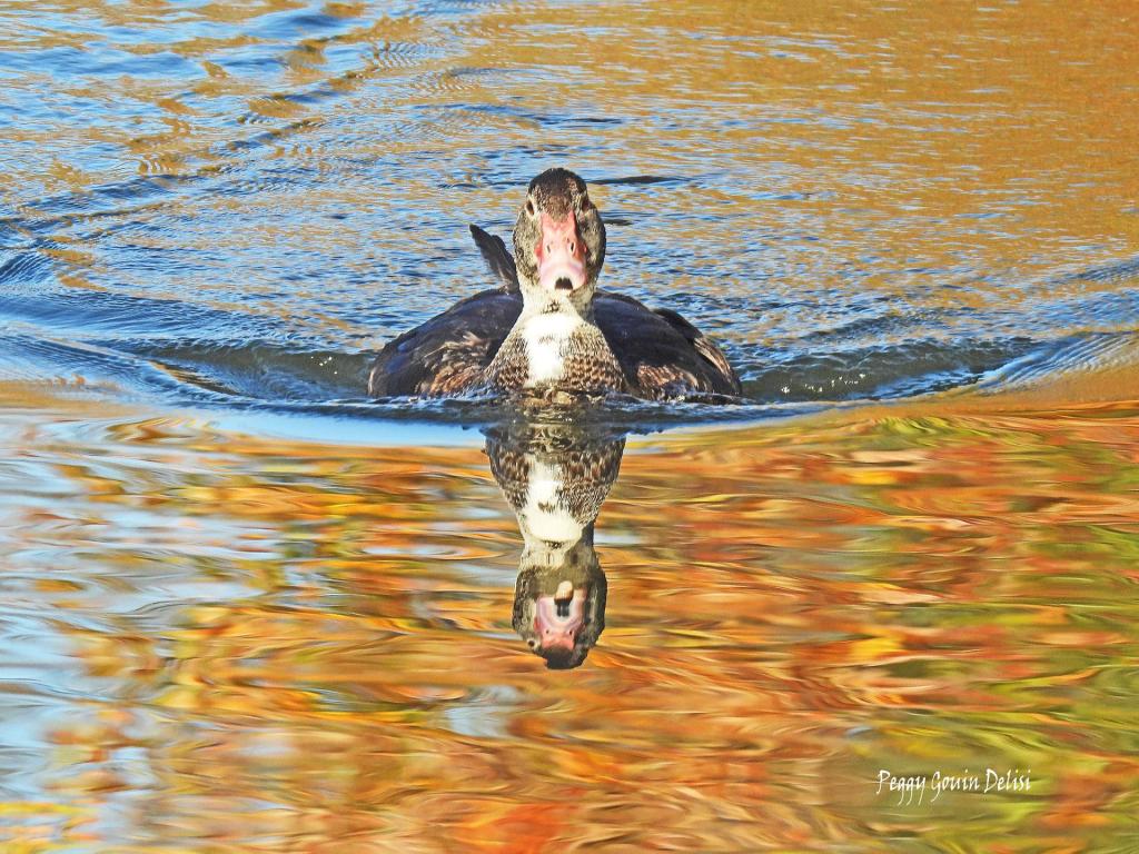 The truth about food stamps