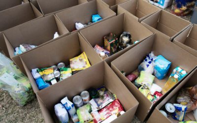 Where to find free food resources in Greensboro