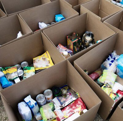 Collected canned goods in boxes