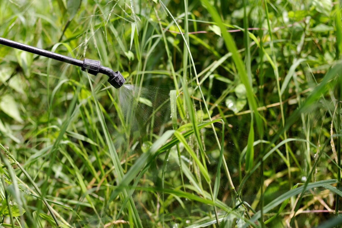 Report: Pesticide banned in 70+ countries widely used in NC