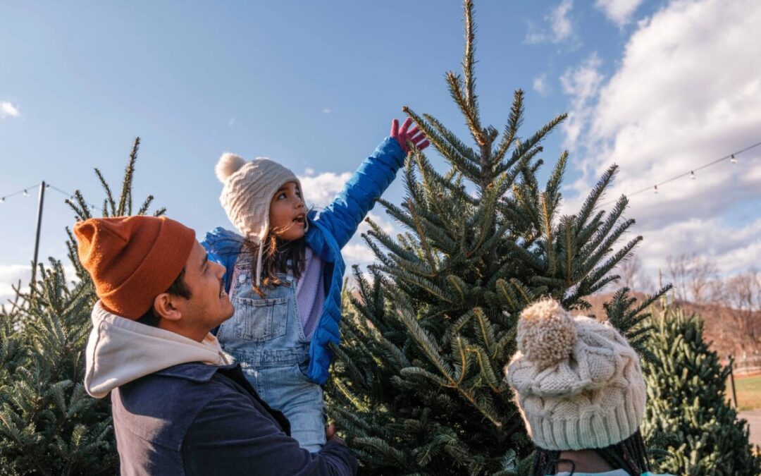North Carolina’s top choose-and-cut Christmas tree farms