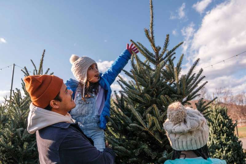 Western N.C. is home to several of the state’s top Christmas tree farms in towns that can turn into a scenic day-trip.