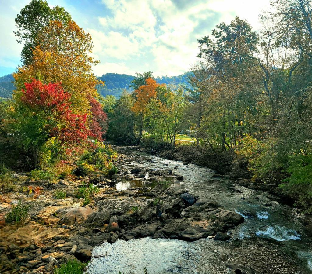 Big job, clean energy news in NC