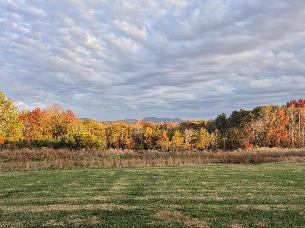ICE, Border Patrol bound for Charlotte