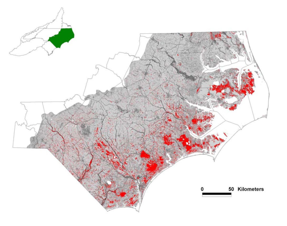 Trump EPA rule puts NC wetlands at risk