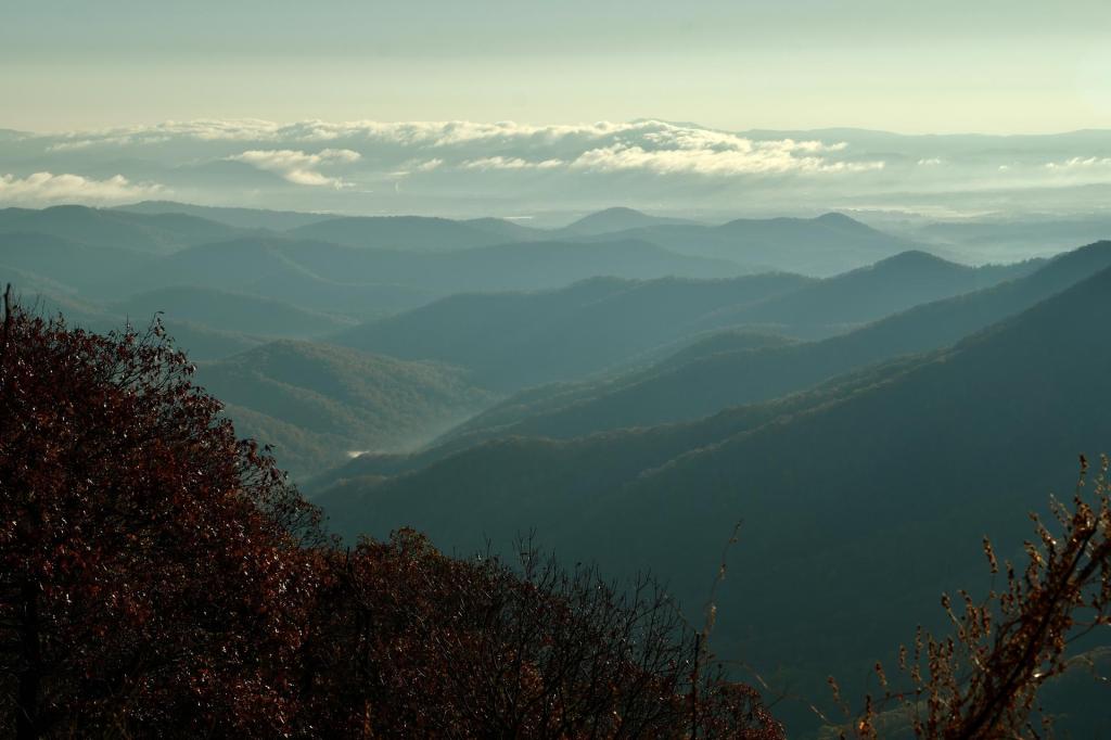 Gay Santa has the NC GOP outraged