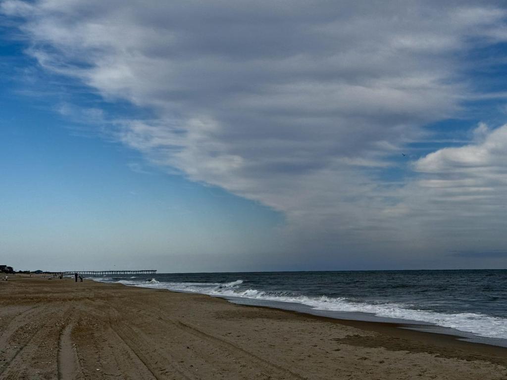 The great NC Christmas tree comeback