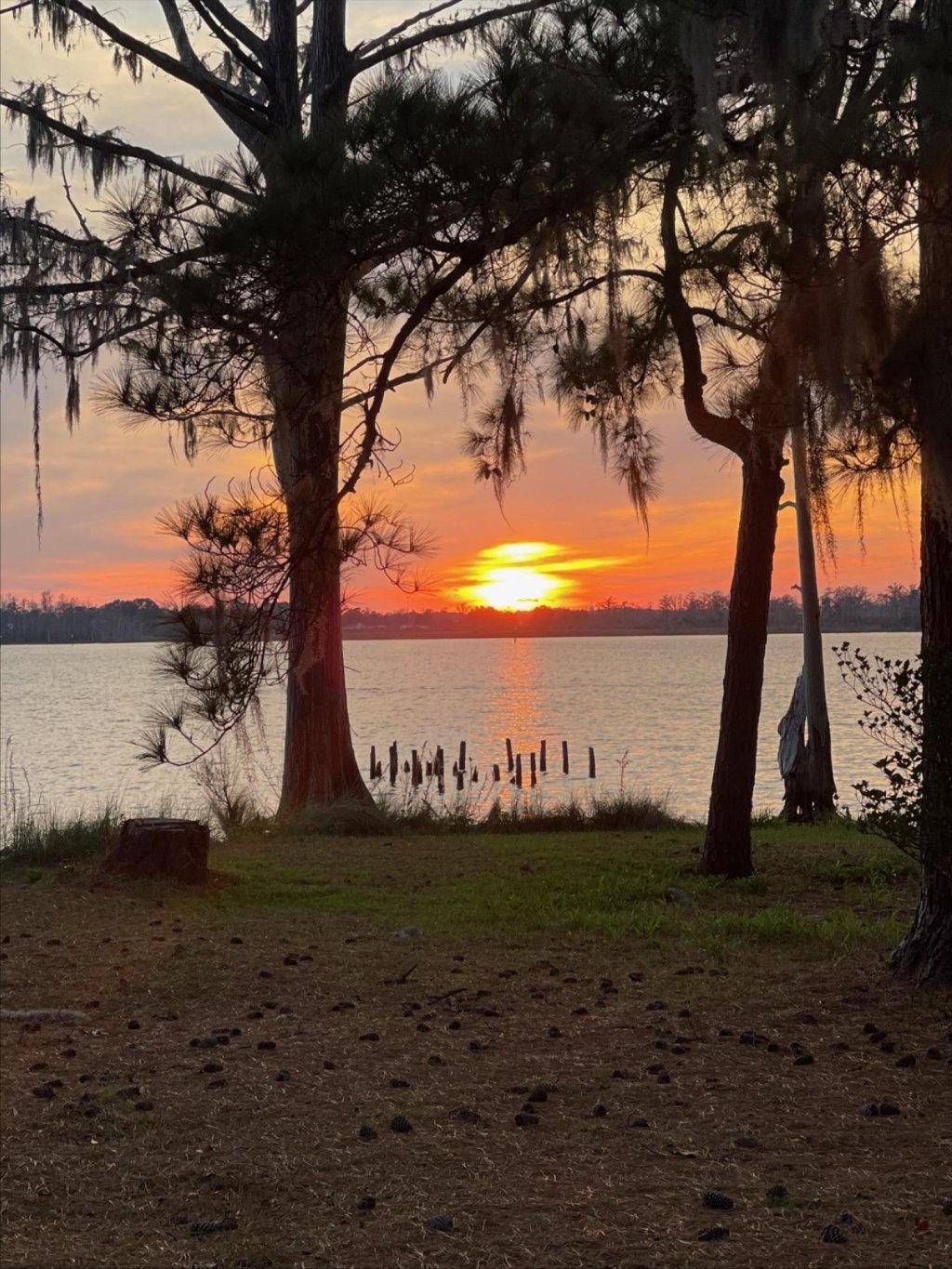 New ICE activity reported in NC