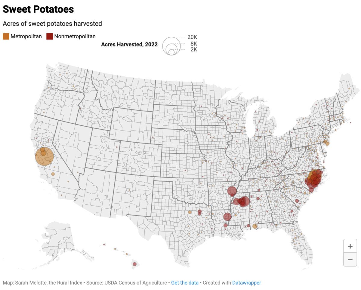 There's a good chance your Thanksgiving meal came from NC