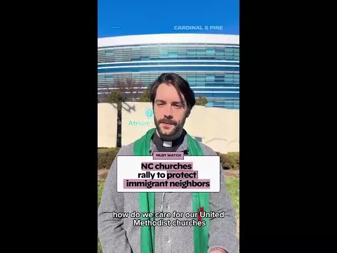 Cardinal - Cardinal & Pine