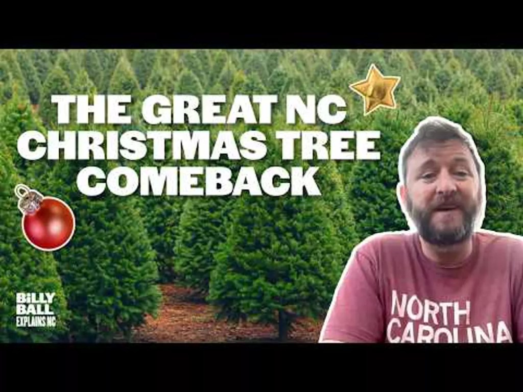 Billy Ball Explains NC: The great NC Christmas tree comeback