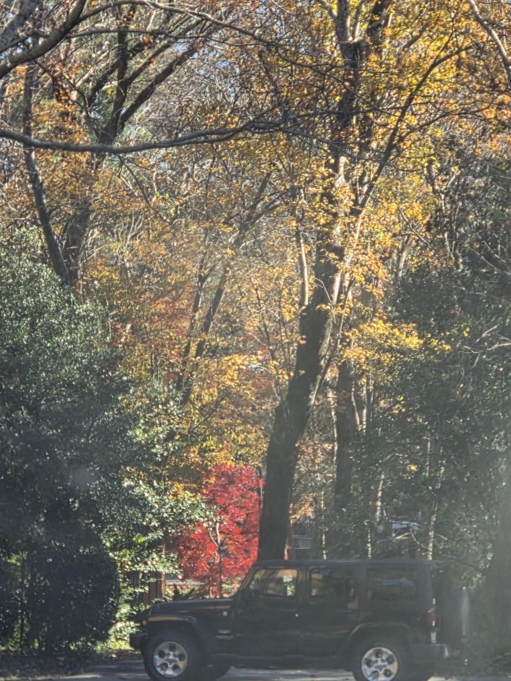 ICE detained him. Then he had a medical emergency.