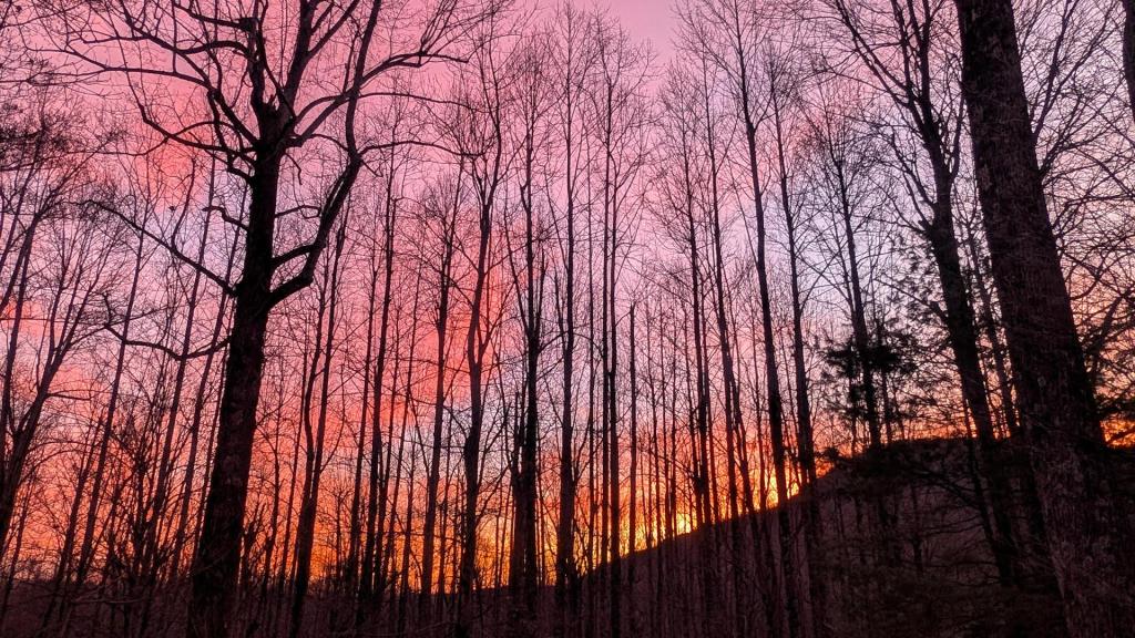 Best New Year’s fireworks in NC