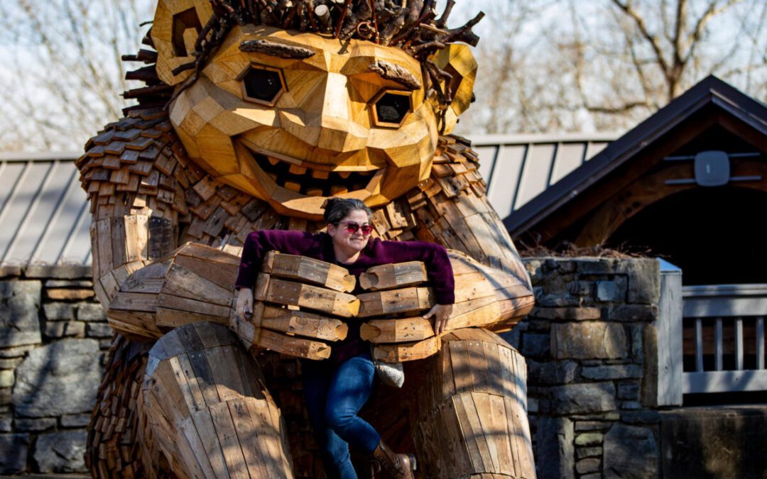 Dambo trolls give NC Arboretum in Asheville ‘unprecedented’ boost