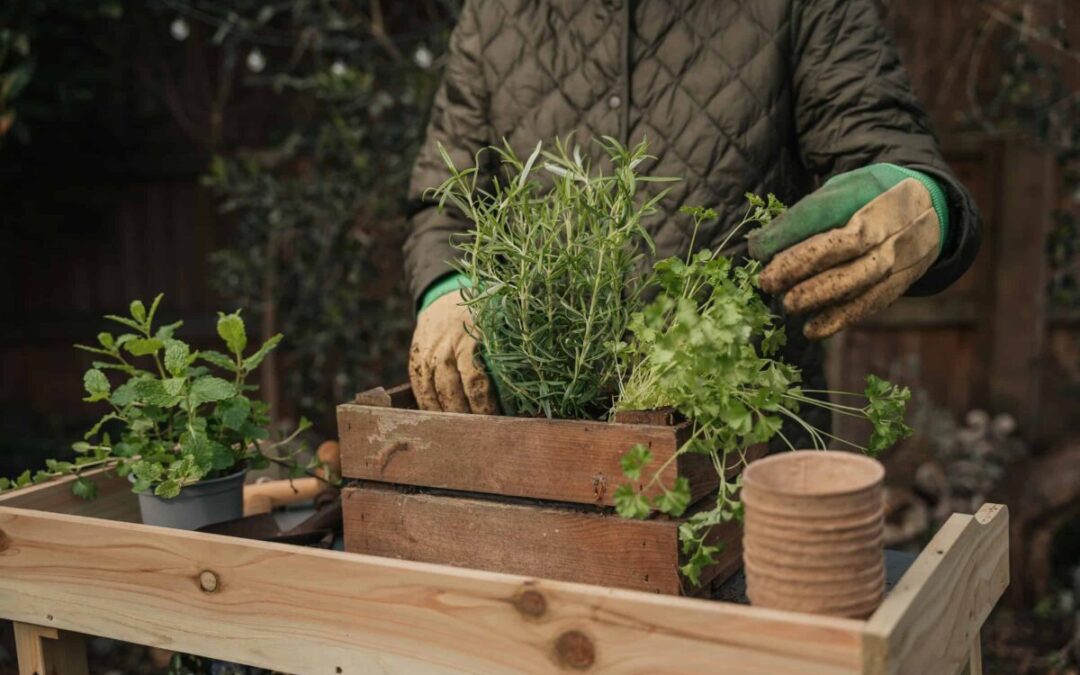 The bountiful benefit of winter gardening in North Carolina