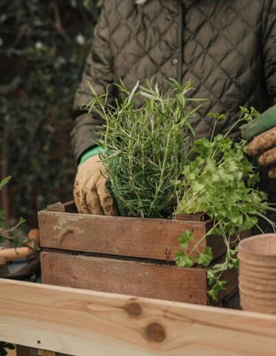 Winter gardening in North Carolina can produce bountiful results with a few considerations.
