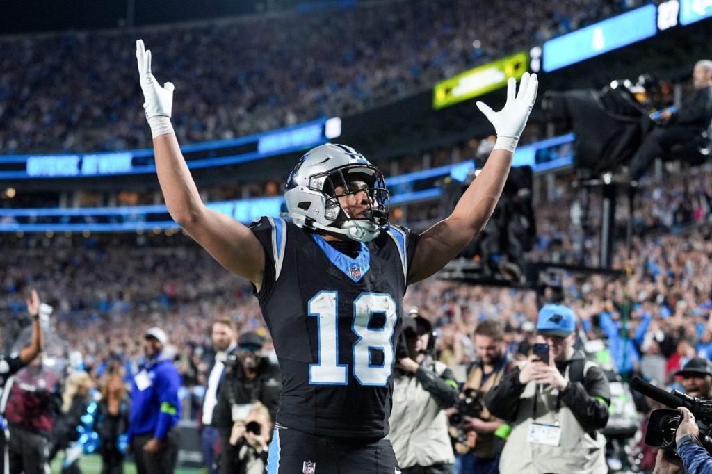 Even in defeat, the Carolina Panthers left fans with hope