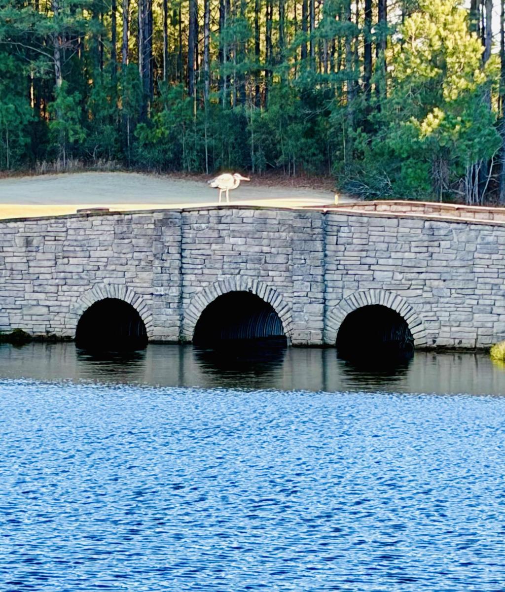 ❄️ Winter storm forecasts changed in NC