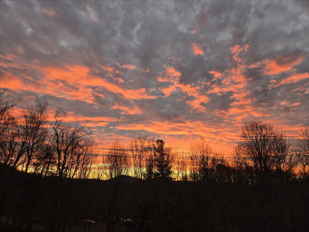 This NC town is racing … outhouses??