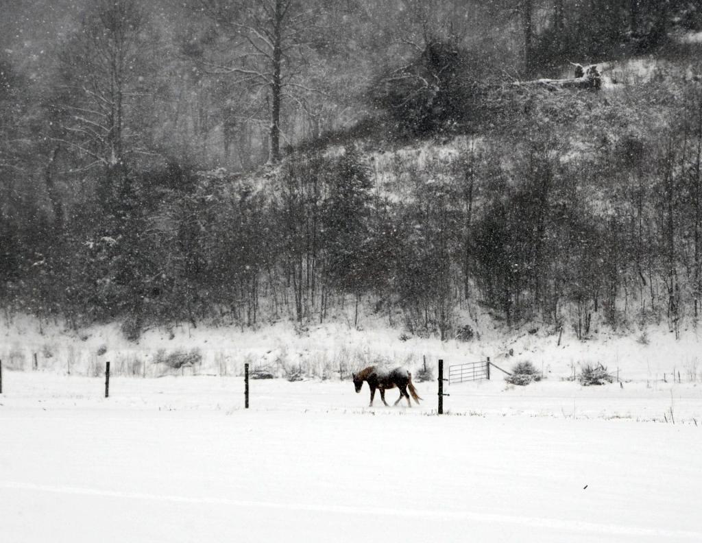The NC maestro who just won a Grammy