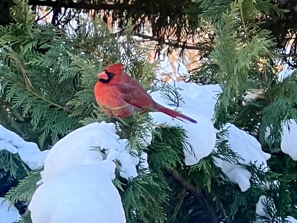 🏅 NC athletes showing out at the Olympics