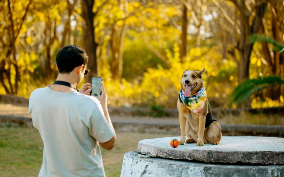 8 best dog parks in Charlotte, according to local pet lovers