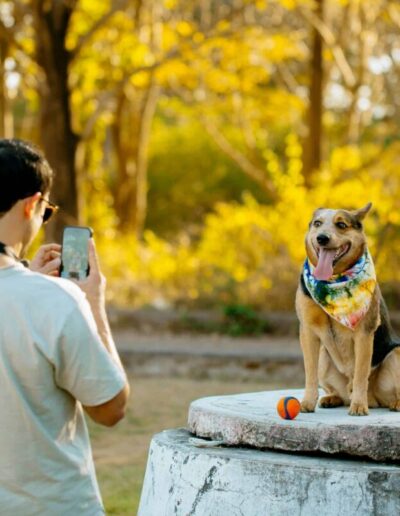 Charlotte is home to plenty of dog-friendly businesses, from breweries and cocktail bars to restaurants and coffee shops.