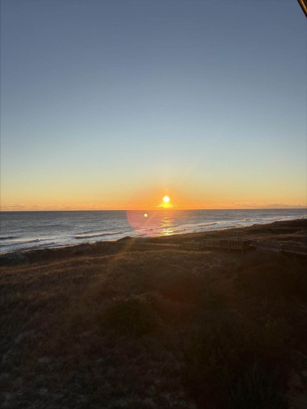 🫎 Group fights for NC wildlife crossings