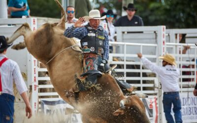 3 things happening in NC: ‘Raleigh Stampede’ rodeo comes to state fairgrounds