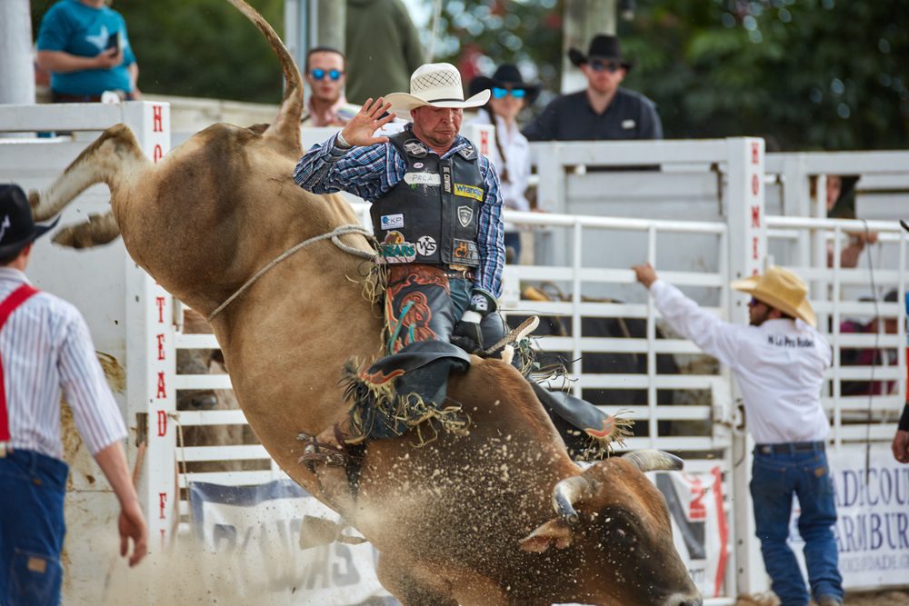 3 things happening in NC: ‘Raleigh Stampede’ rodeo comes to state fairgrounds