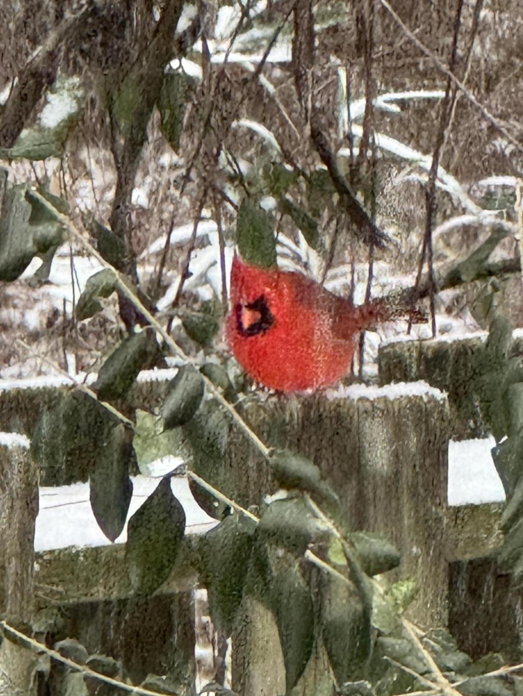 NC’s prisons are in crisis mode