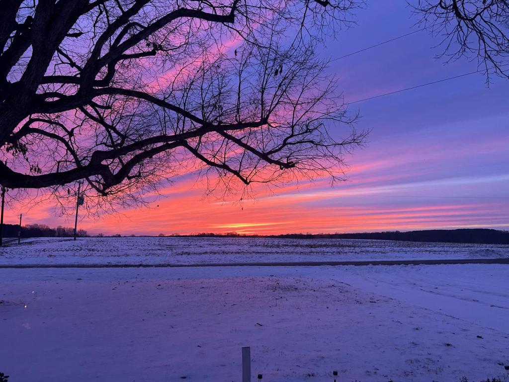 ❤️ 8 viral animal stars in NC