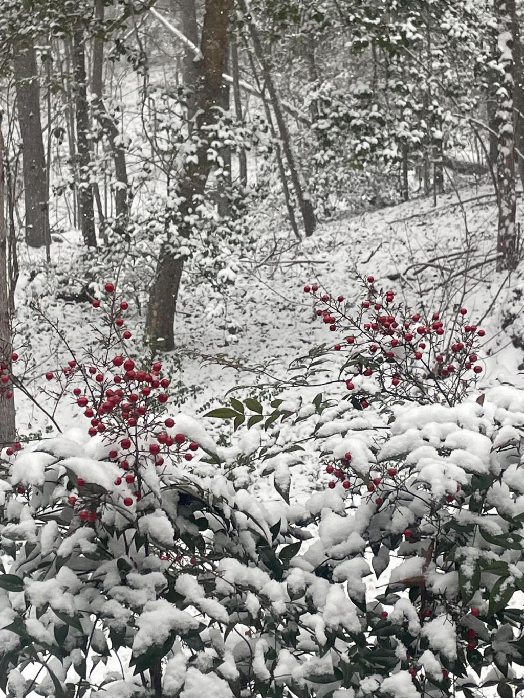 HUGE news for North Carolina voters