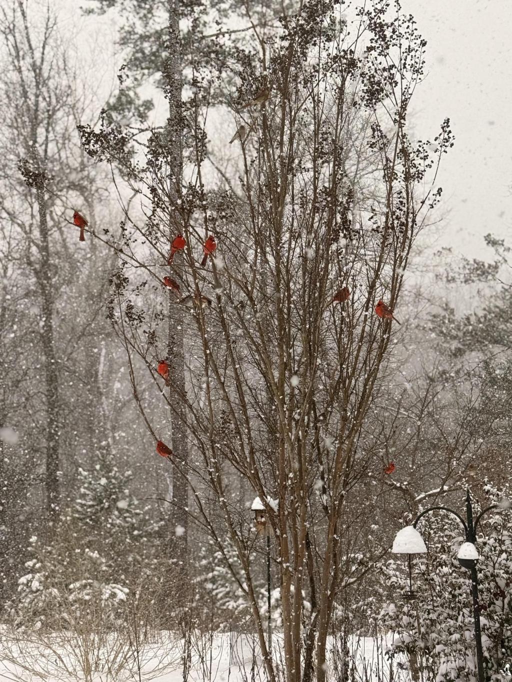 Crisis at one North Carolina hospital