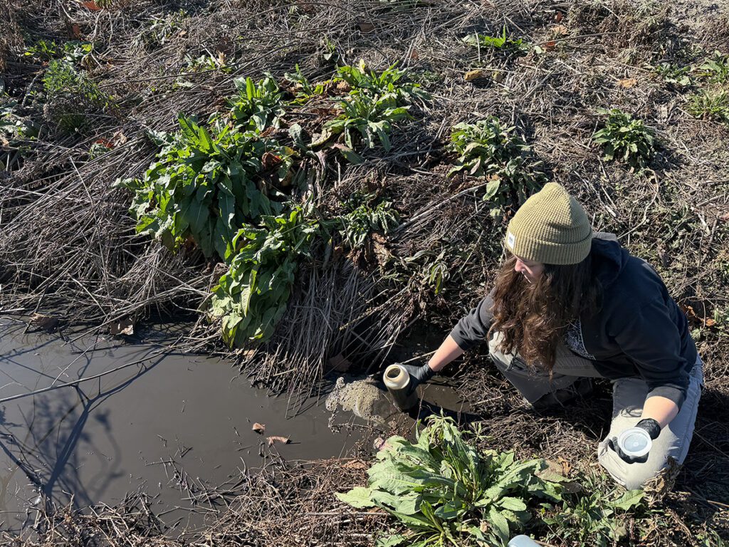 Former NC hog-feeding operation pollutes nearby waterways – again Former NC hog-feeding operation pollutes nearby waterways – again