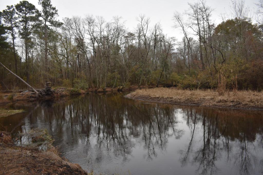 🔥 North Carolina owns March Madness