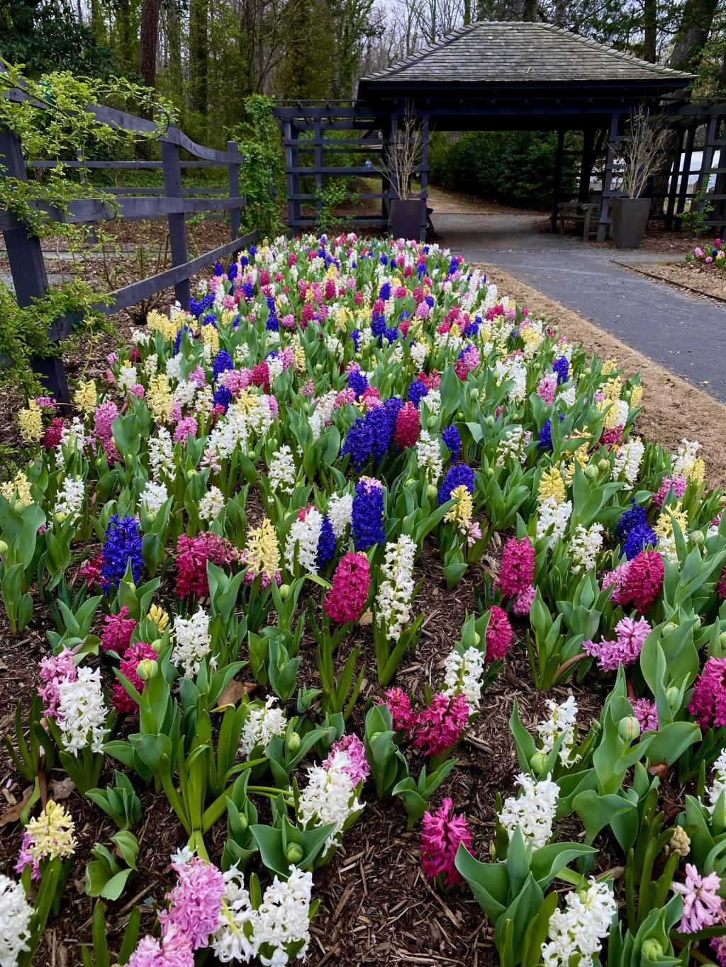 50 ‘No Kings’ protests in NC