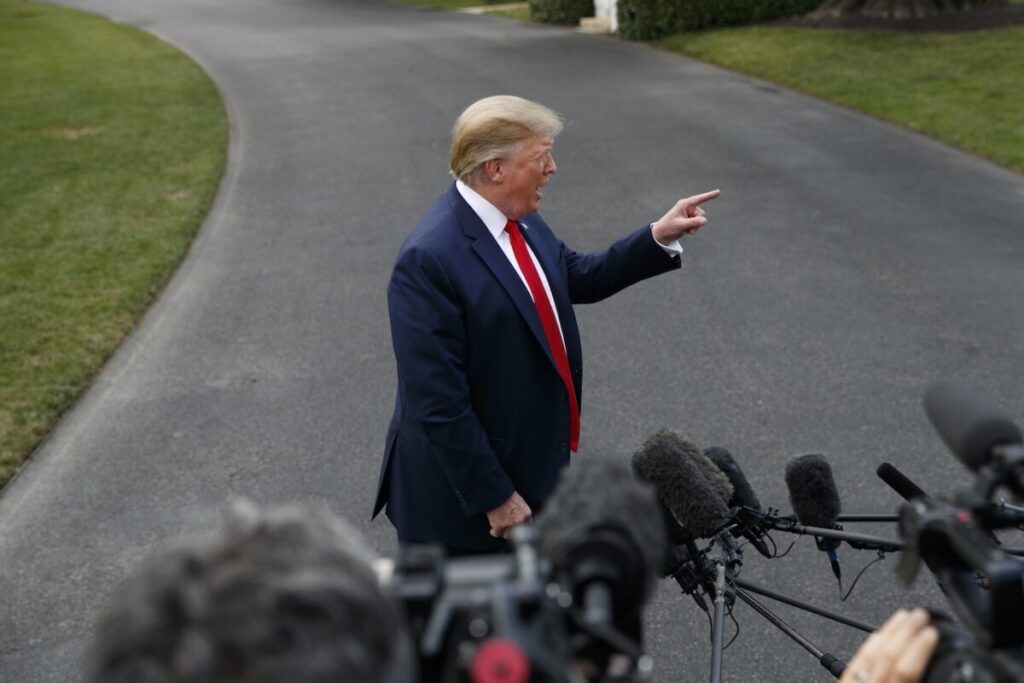 TRUMP - Cardinal & Pine