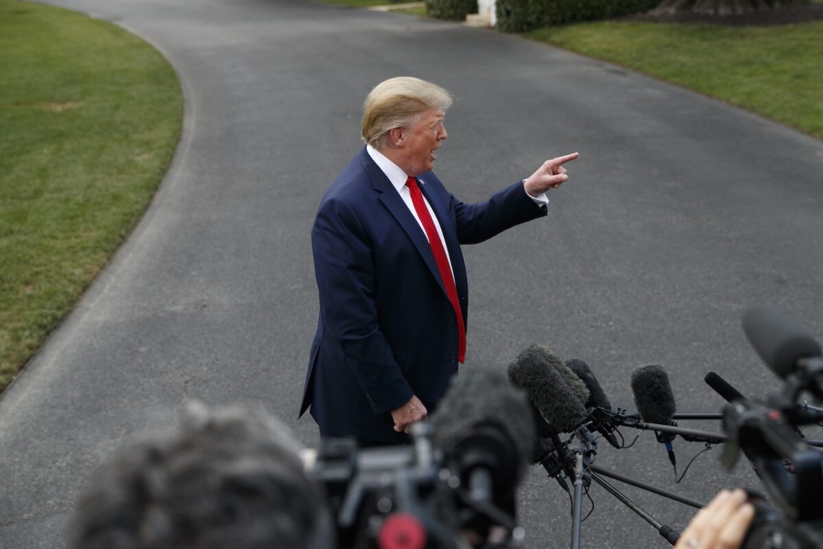 TRUMP - Cardinal & Pine