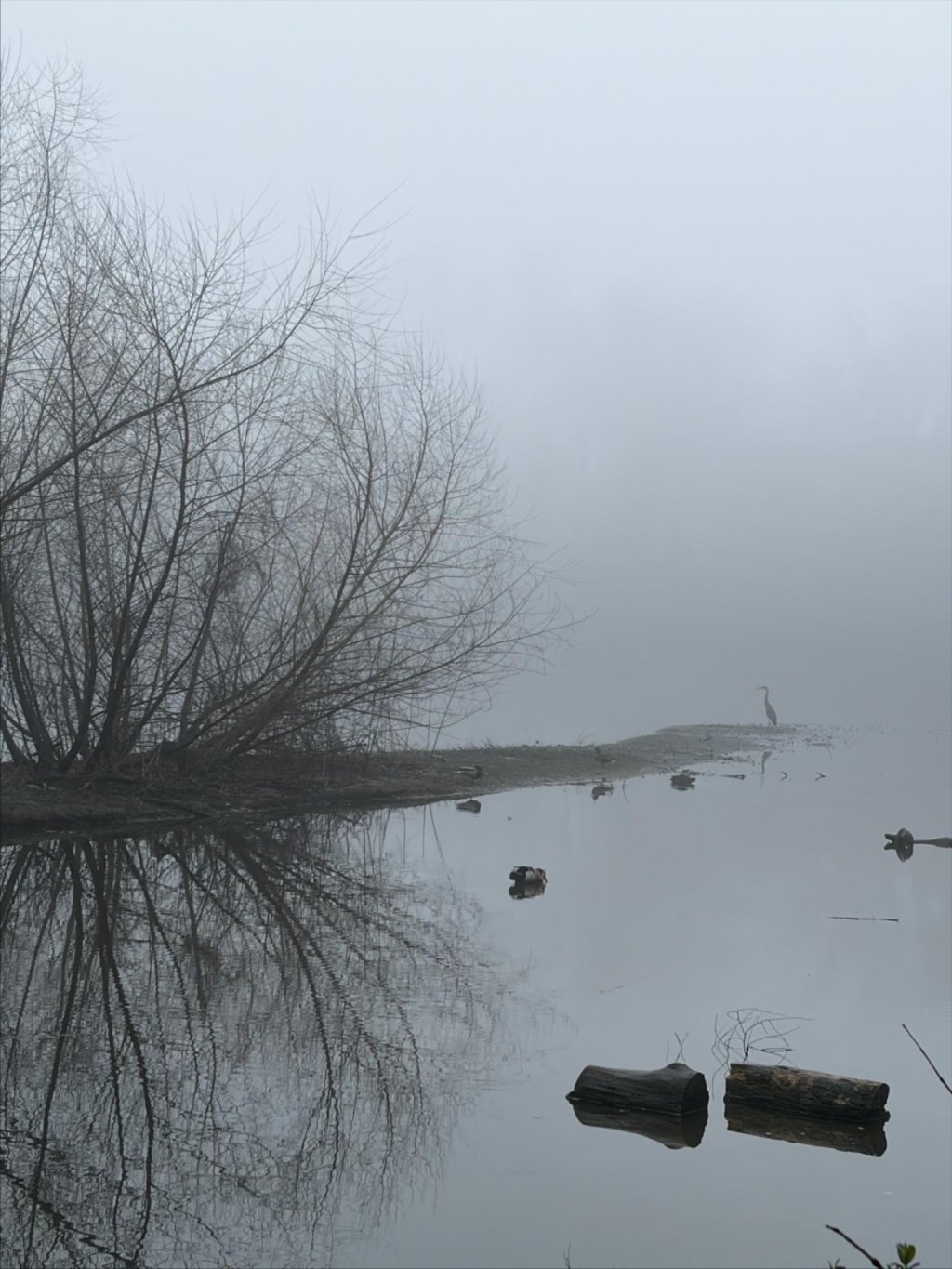 🤯 This western NC town just did something cool