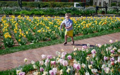 What to know about the 2026 spring equinox in North Carolina