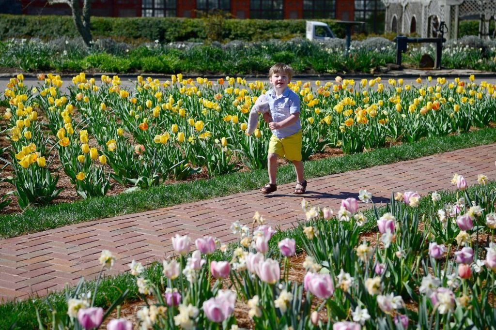 What to know about the 2026 spring equinox in North Carolina