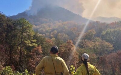 NC forestry officials worry about growing threat of wildfires, fewer workers