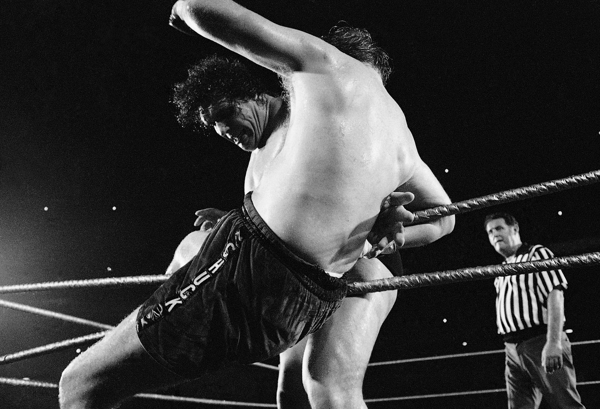 Tiny town in North Carolina honors towering Andre The Giant with roadside marker